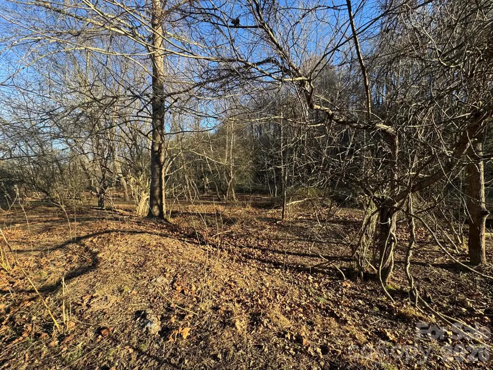 003 Rock Creek Church Road North Wilkesboro, NC 28659