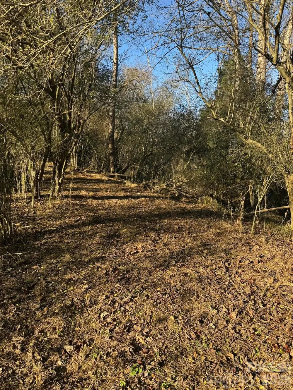 003 Rock Creek Church Road North Wilkesboro, NC 28659