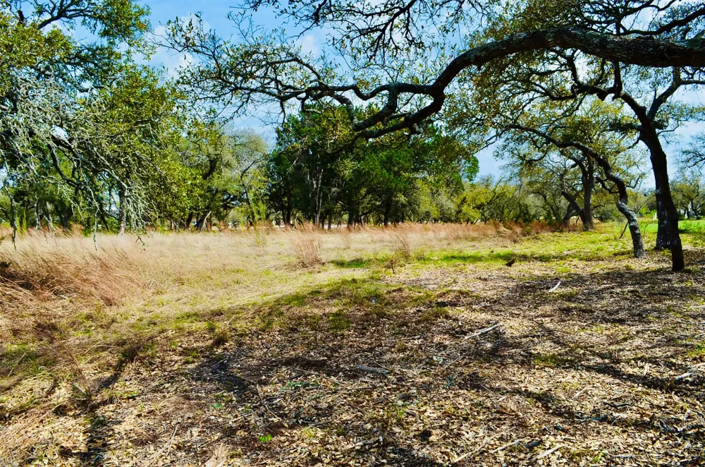 115 Arabian Lane Driftwood, TX 78619