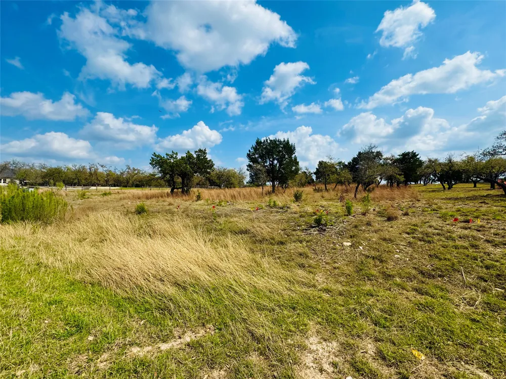 115 Arabian Lane Driftwood, TX 78619