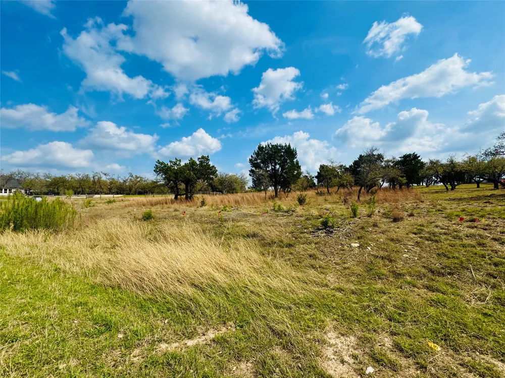 115 Arabian Lane Driftwood, TX 78619