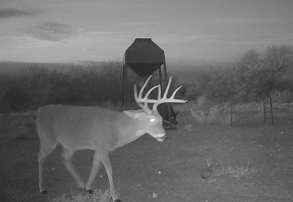 I35-access Highway Pearsall, TX 78061