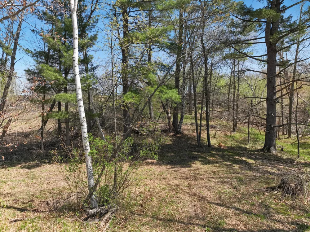 2376 10 7/8 AVENUE Cameron, WI 54822