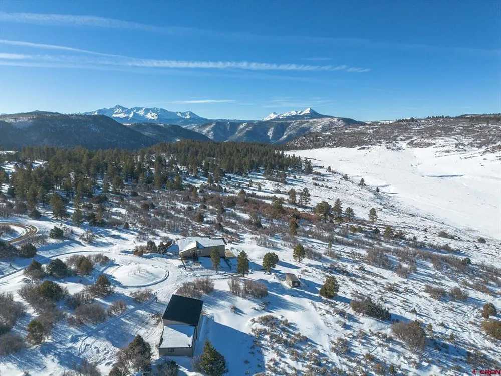 2175 High Bluff Drive Placerville, CO 81435