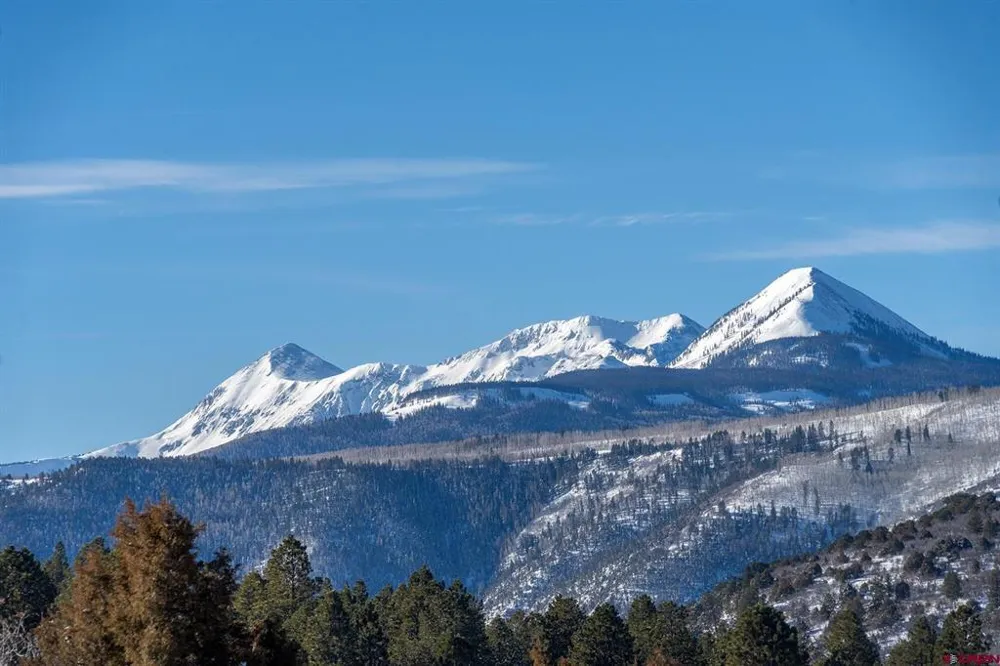2175 High Bluff Drive Placerville, CO 81435