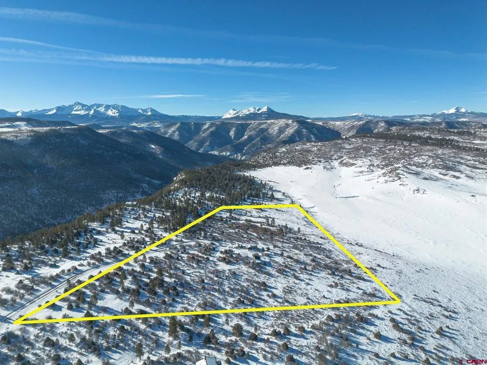 2175 High Bluff Drive Placerville, CO 81435
