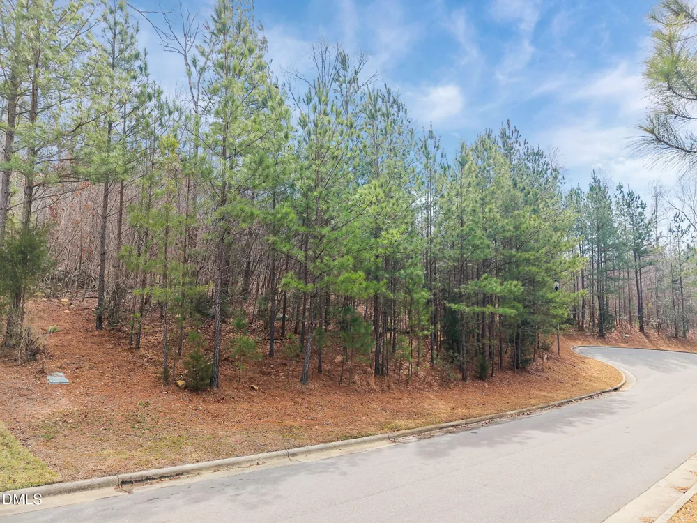 49 Sweet Meadow Lane Pittsboro, NC 27312