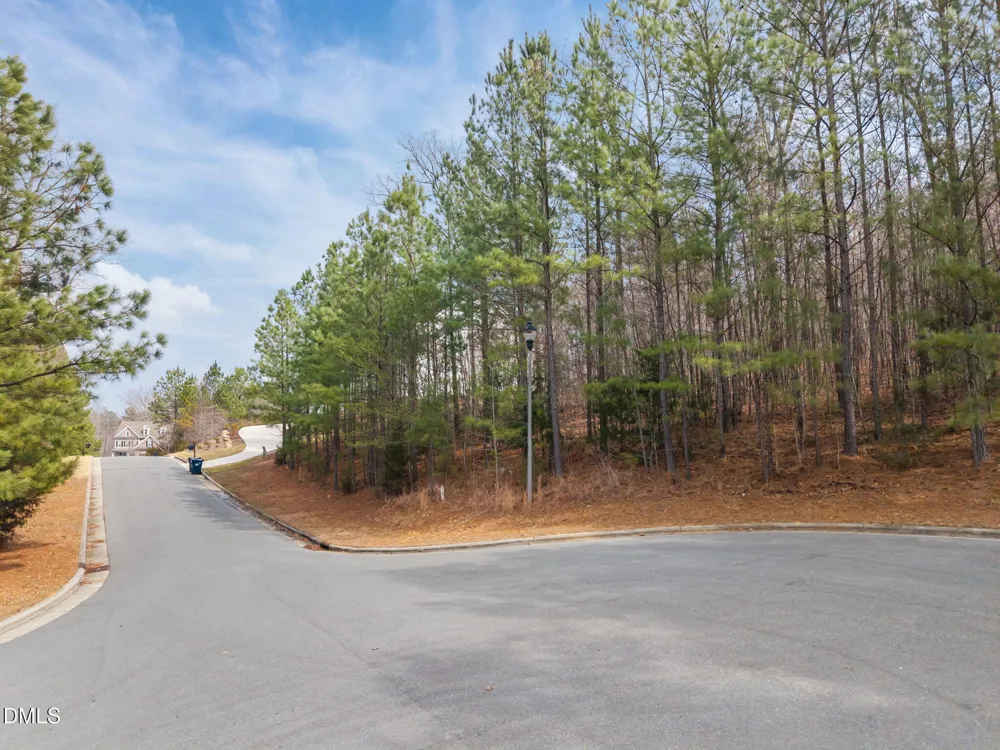 49 Sweet Meadow Lane Pittsboro, NC 27312