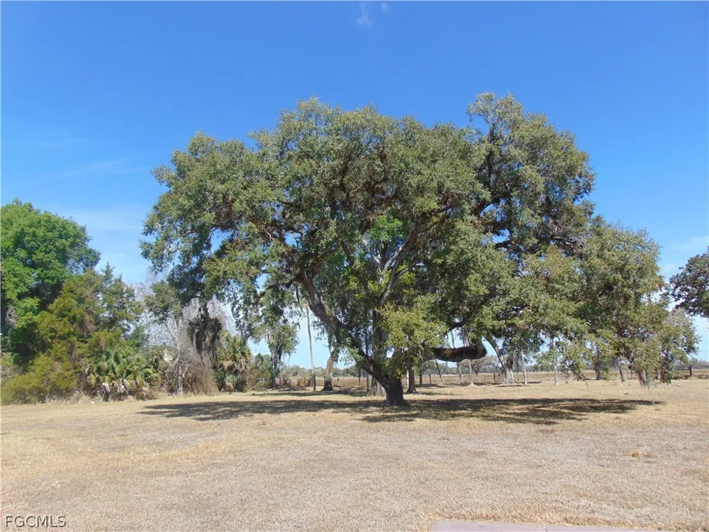 Riverbend Drive Labelle, FL 33935