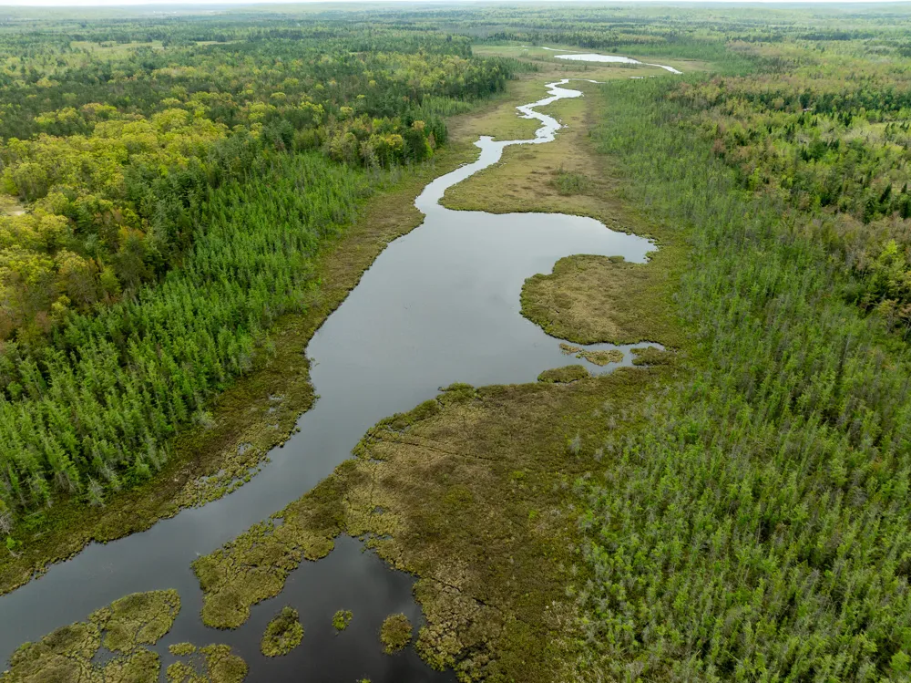 1408 Turtle Lake Road Gaylord, MI 49735