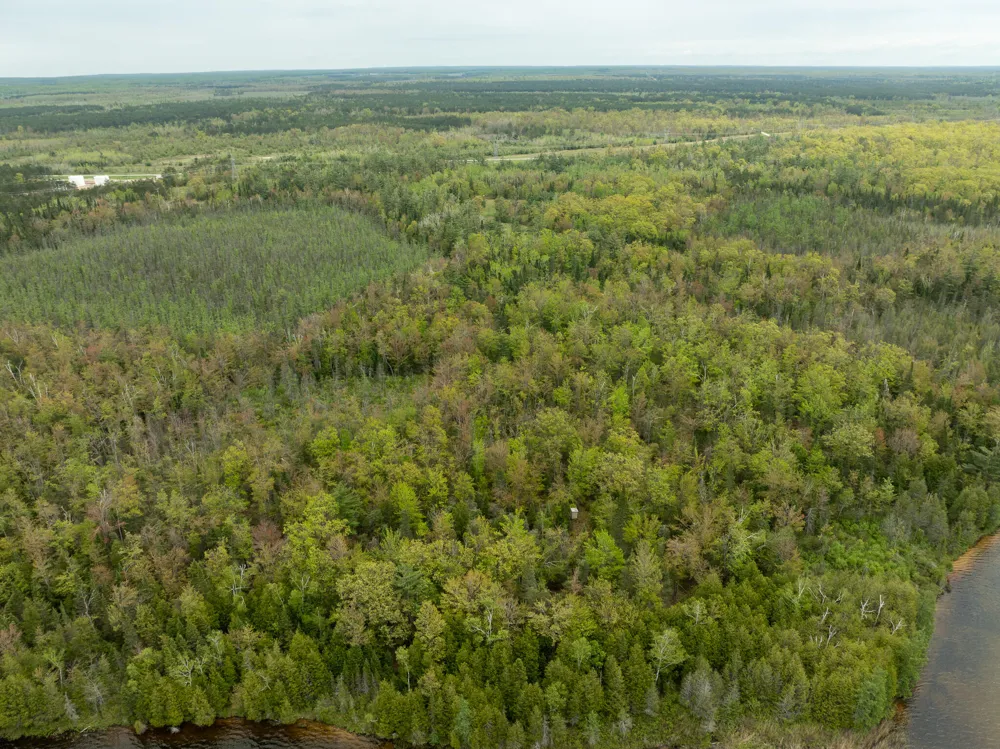 1408 Turtle Lake Road Gaylord, MI 49735