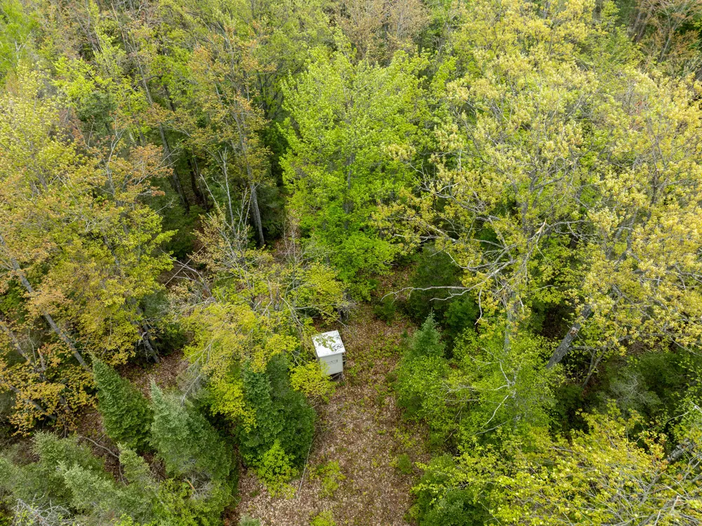 1408 Turtle Lake Road Gaylord, MI 49735