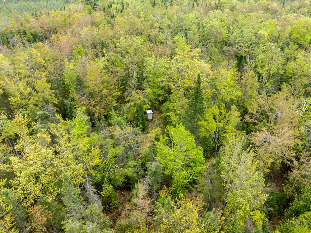 1408 Turtle Lake Road Gaylord, MI 49735