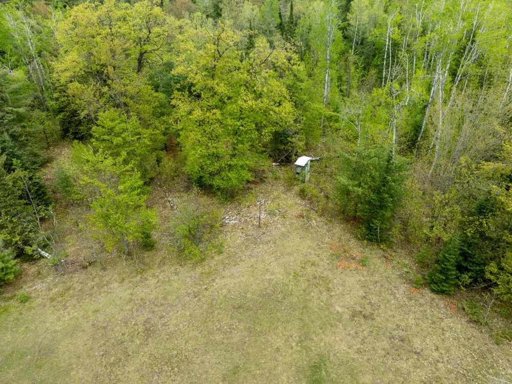 1408 Turtle Lake Road Gaylord, MI 49735