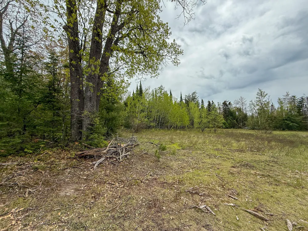 1408 Turtle Lake Road Gaylord, MI 49735