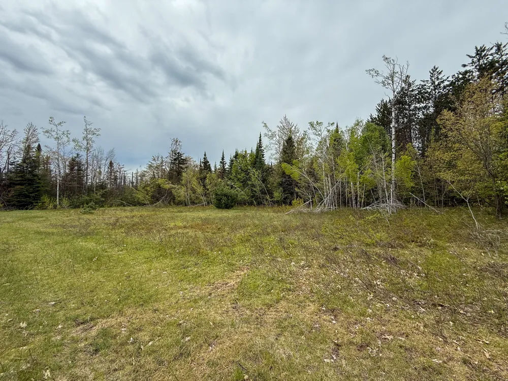 1408 Turtle Lake Road Gaylord, MI 49735