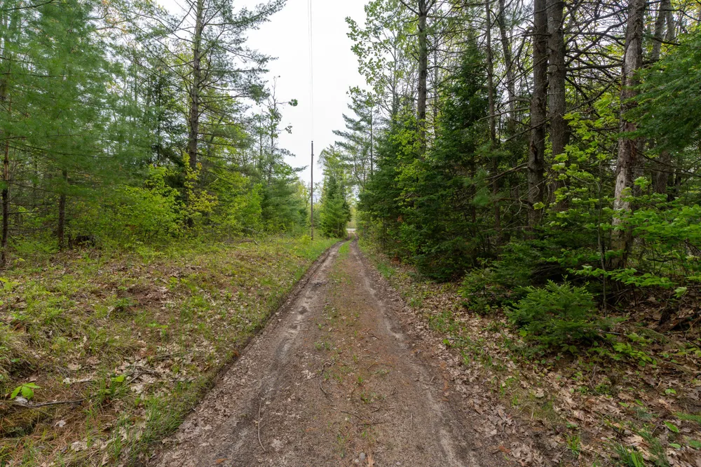 1408 Turtle Lake Road Gaylord, MI 49735