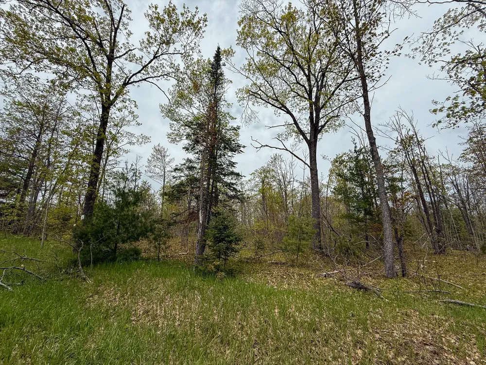 1408 Turtle Lake Road Gaylord, MI 49735