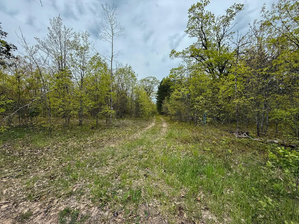 1408 Turtle Lake Road Gaylord, MI 49735