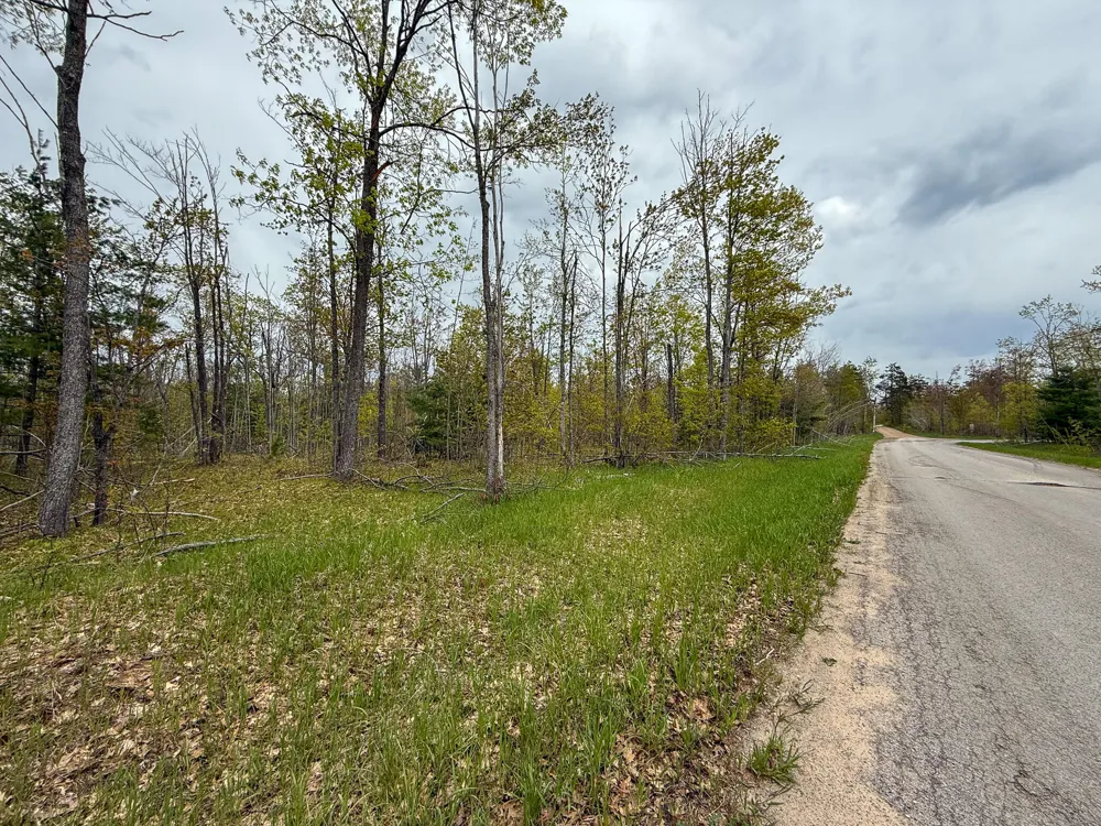 1408 Turtle Lake Road Gaylord, MI 49735