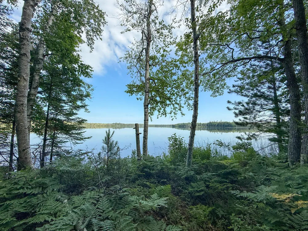1408 Turtle Lake Road Gaylord, MI 49735