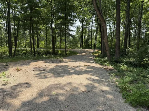Steinberg Road