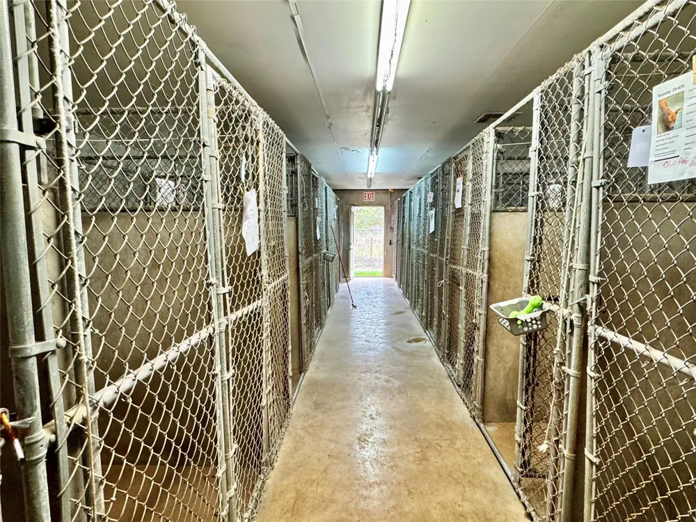 310 Ellen Avenue League City, TX 77573