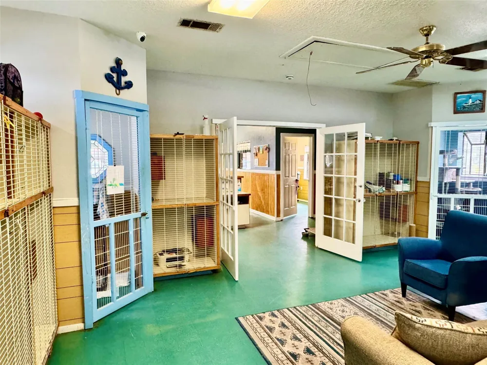 310 Ellen Avenue League City, TX 77573