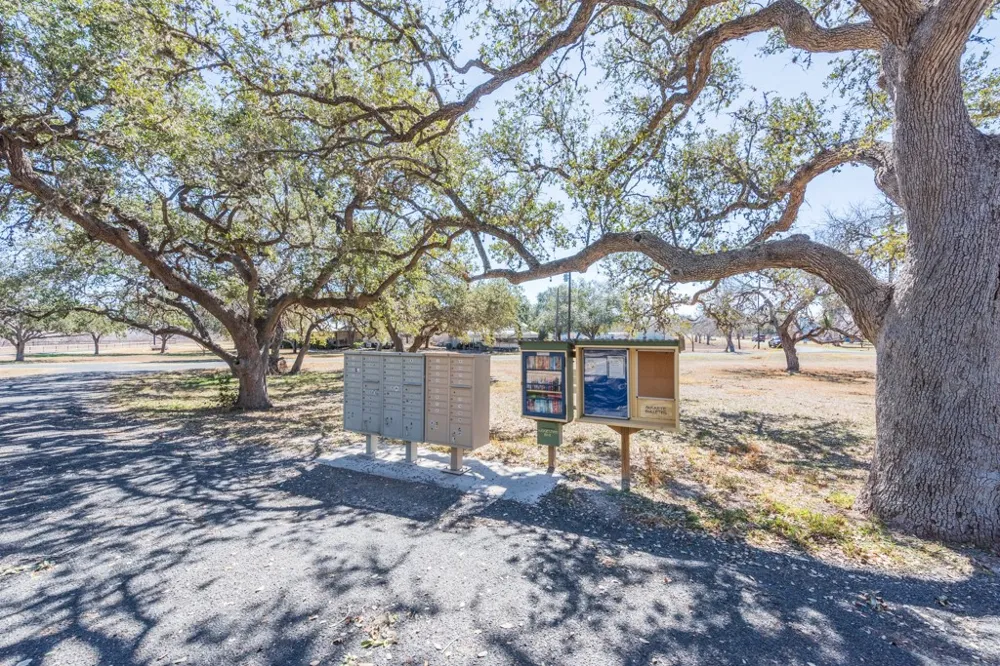 167 Buckeye Knoll Road George West, TX 78022