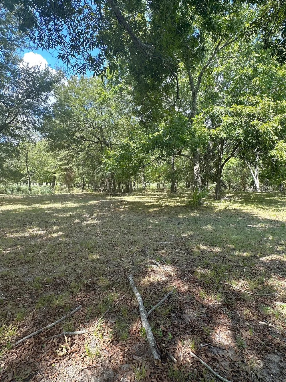 853 CR 206 Bremond, TX 76629