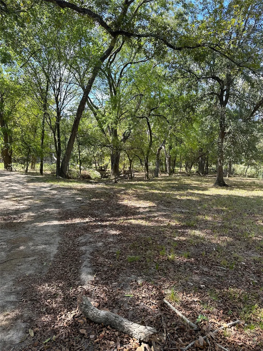 853 CR 206 Bremond, TX 76629