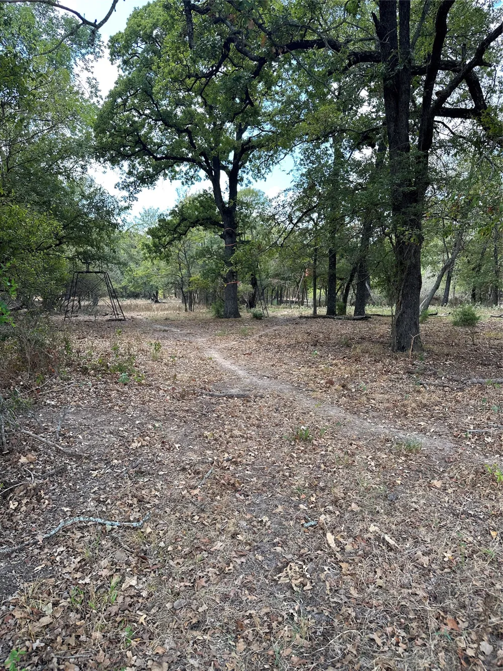 853 CR 206 Bremond, TX 76629