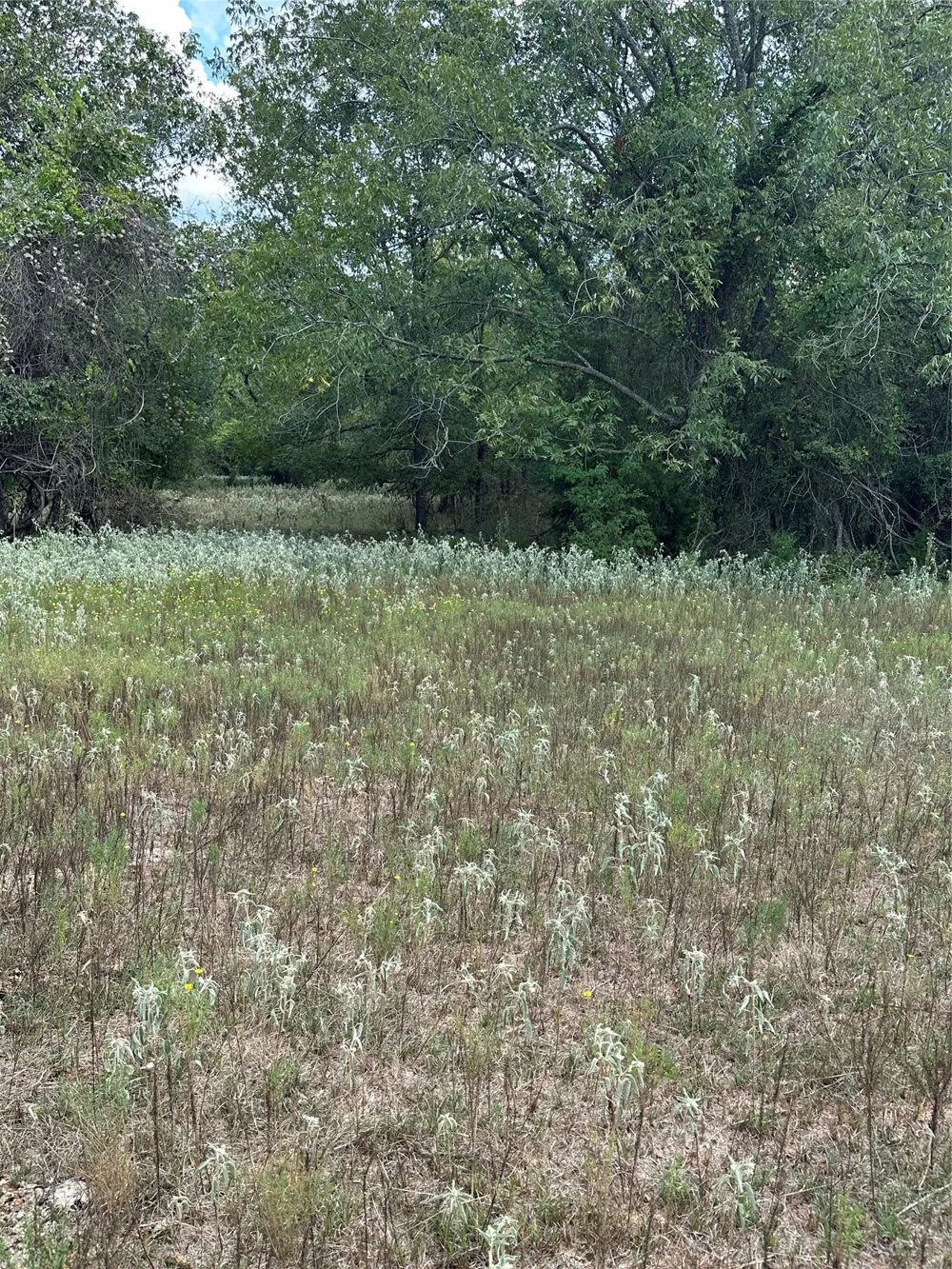 853 CR 206 Bremond, TX 76629