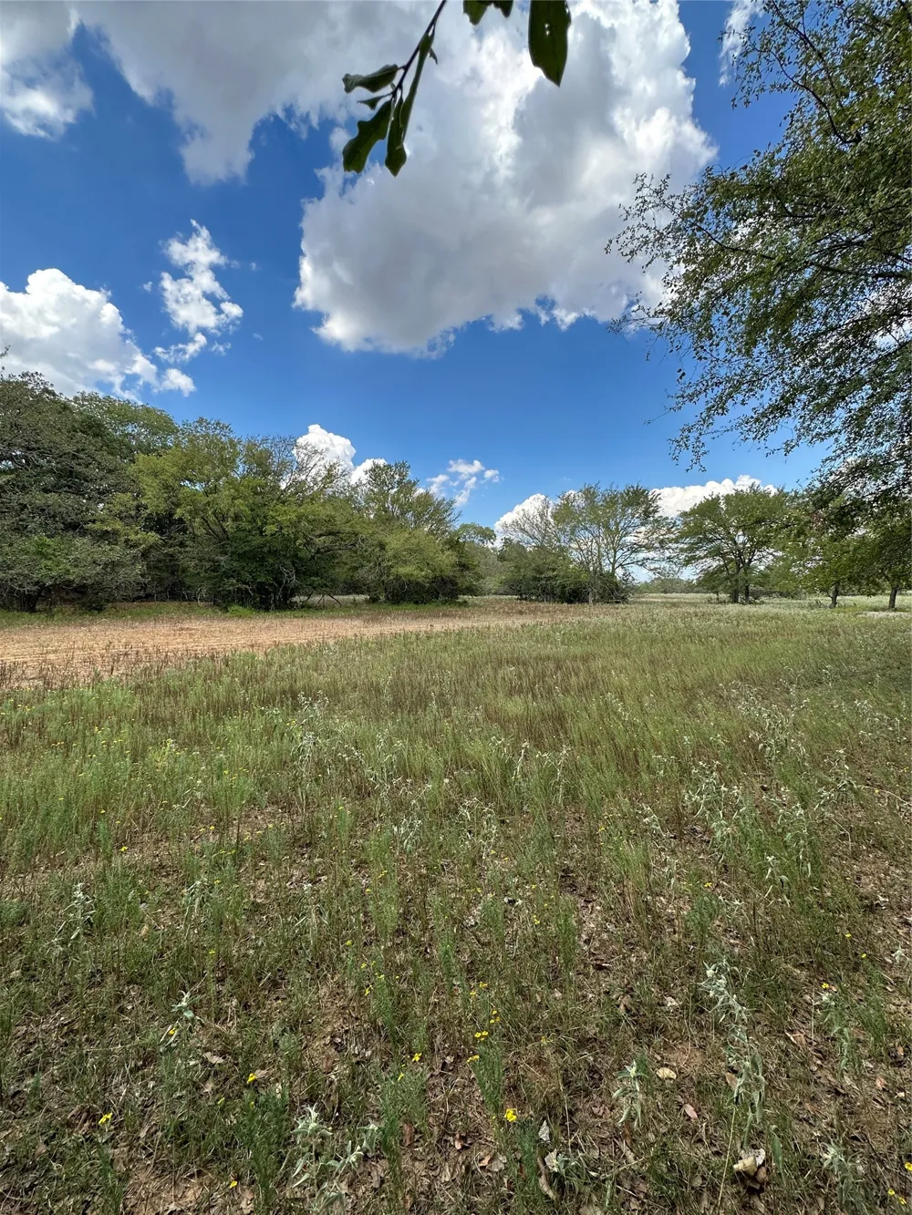 853 CR 206 Bremond, TX 76629