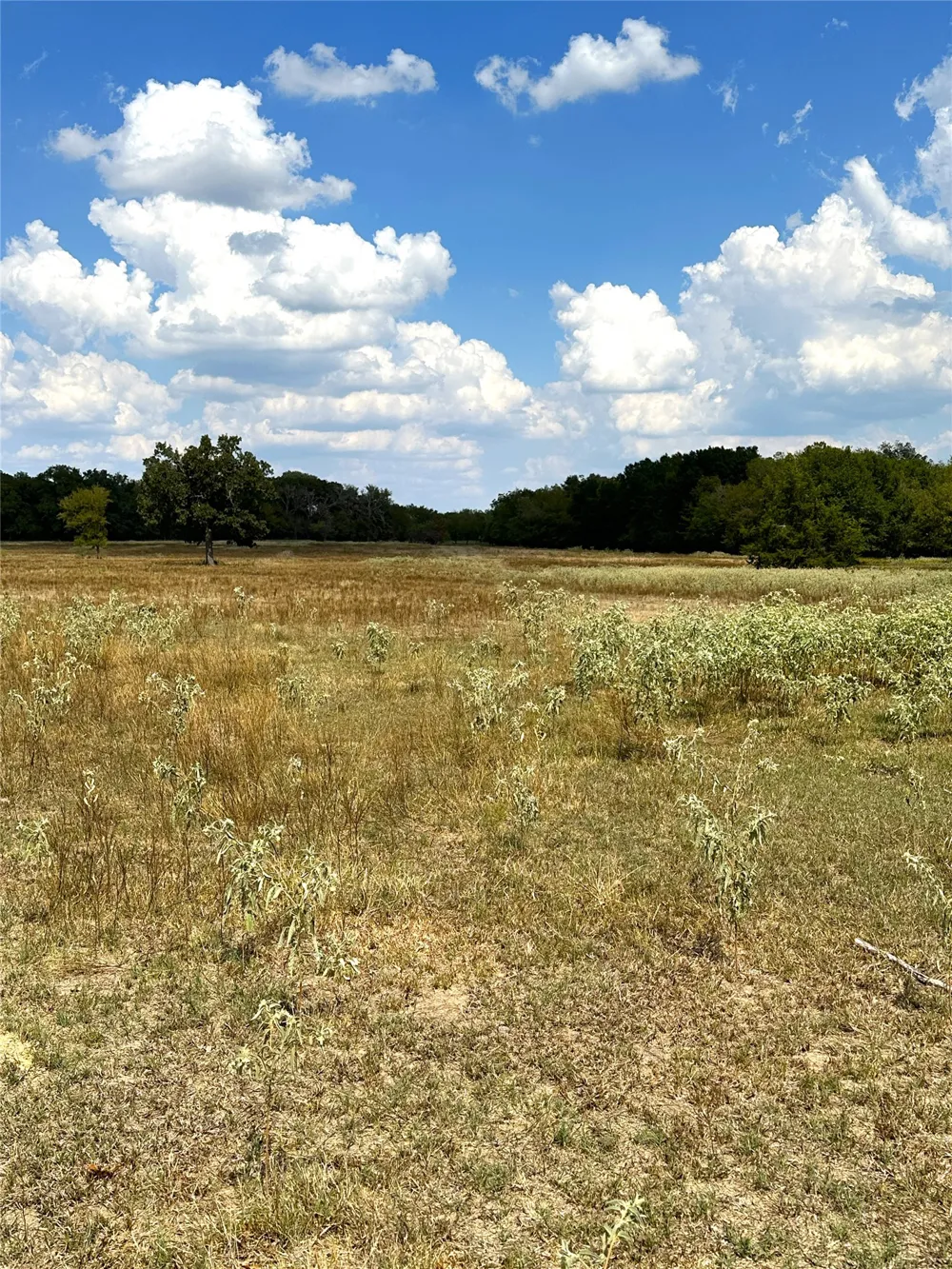853 CR 206 Bremond, TX 76629
