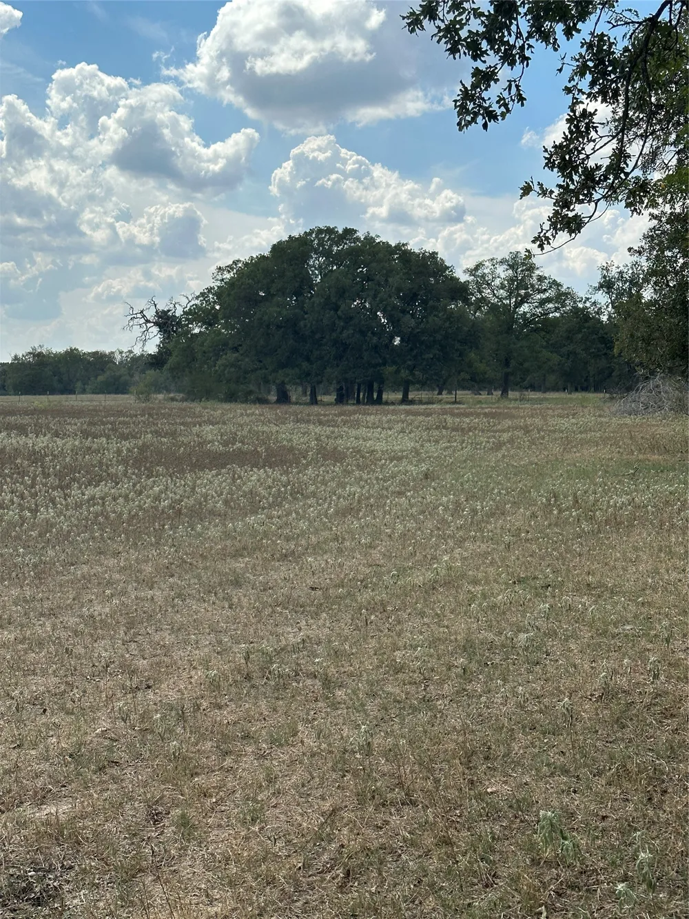 853 CR 206 Bremond, TX 76629