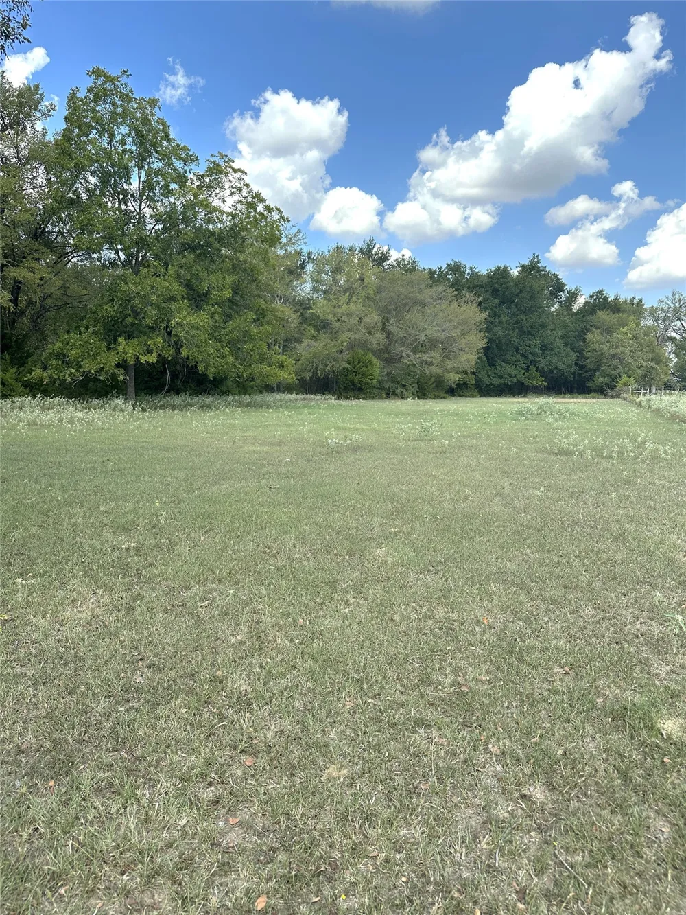 853 CR 206 Bremond, TX 76629
