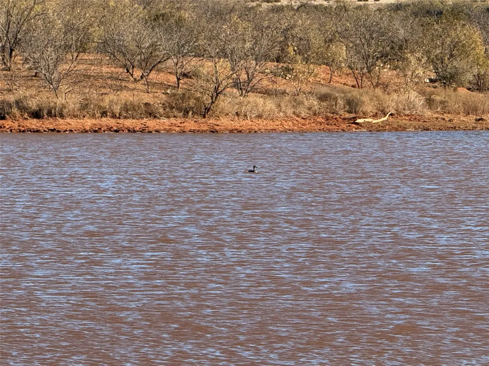 5725 TBD FM 604 Ovalo, TX 79541