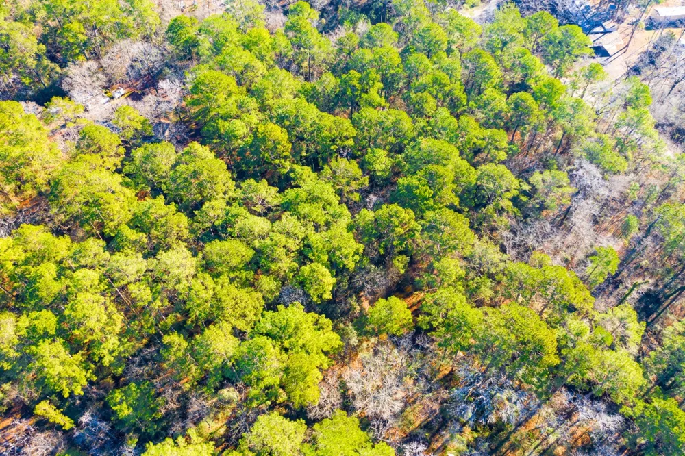 Cedar Court Trinity, TX 75862