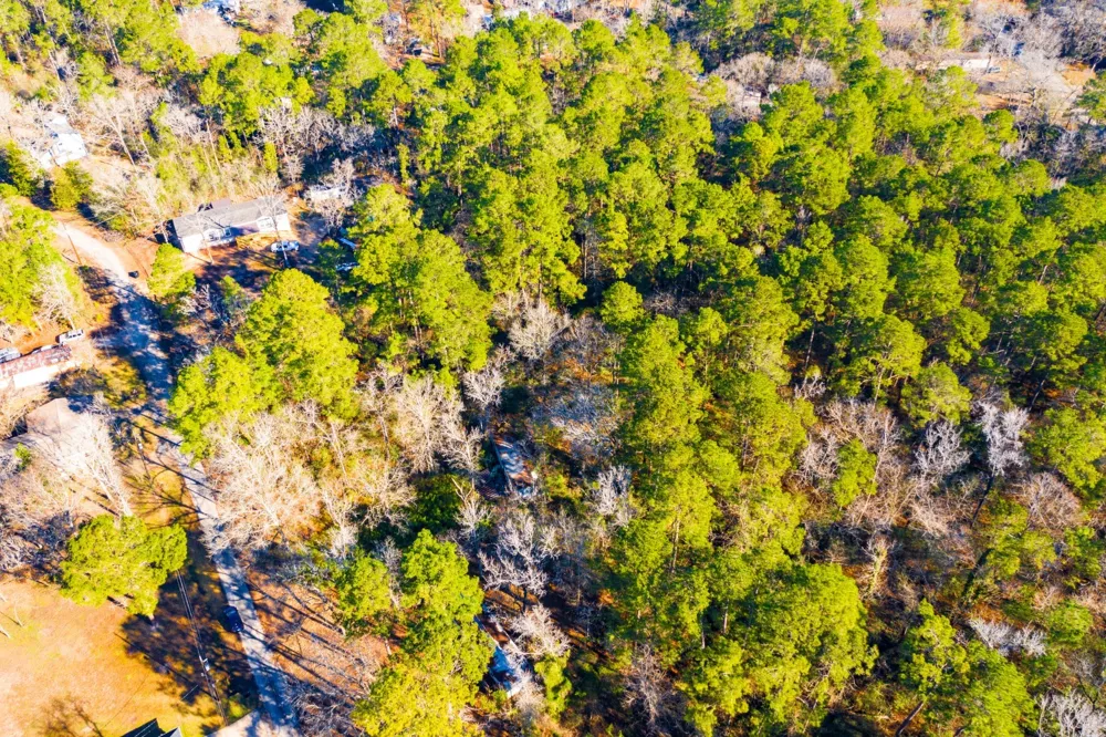 Cedar Court Trinity, TX 75862