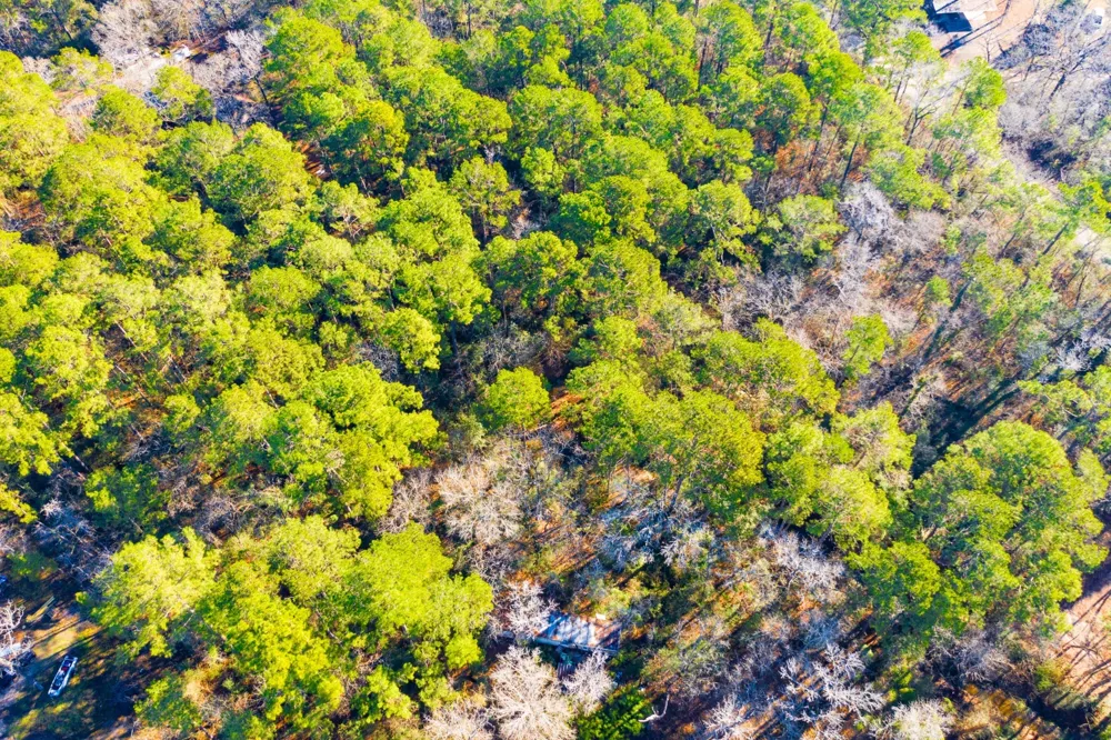 Cedar Court Trinity, TX 75862