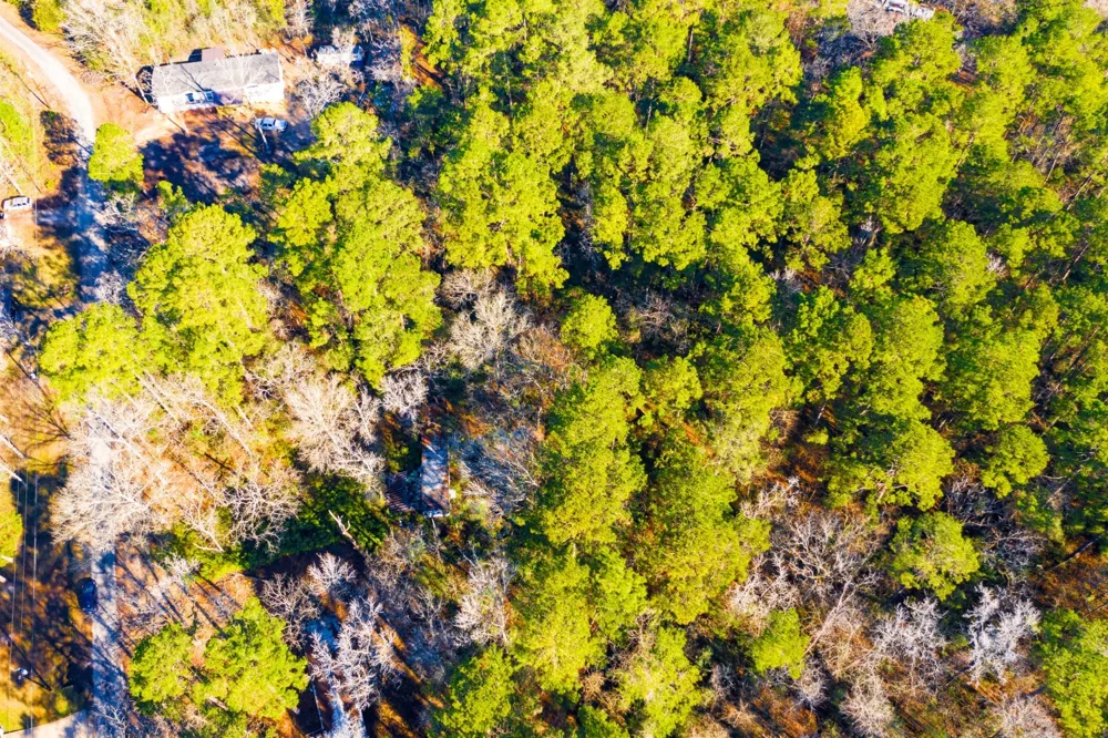 Cedar Court Trinity, TX 75862