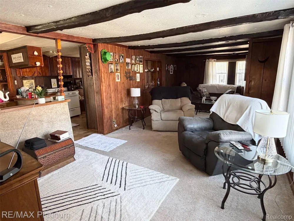 6787 Coon Hill Road Henrietta Township, MI 49259