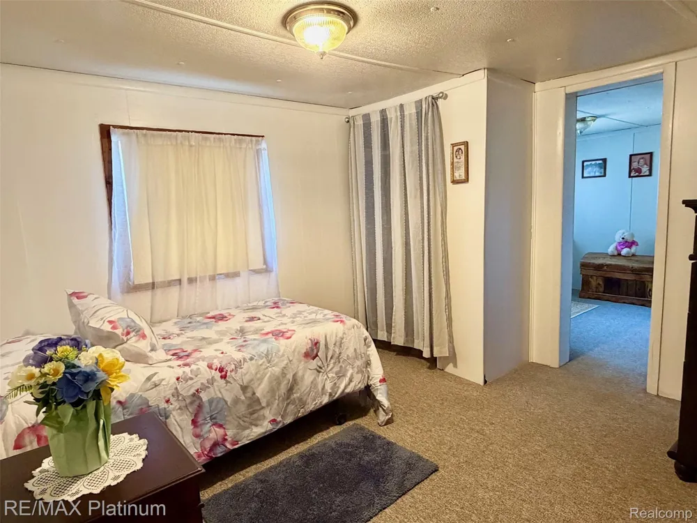 6787 Coon Hill Road Henrietta Township, MI 49259