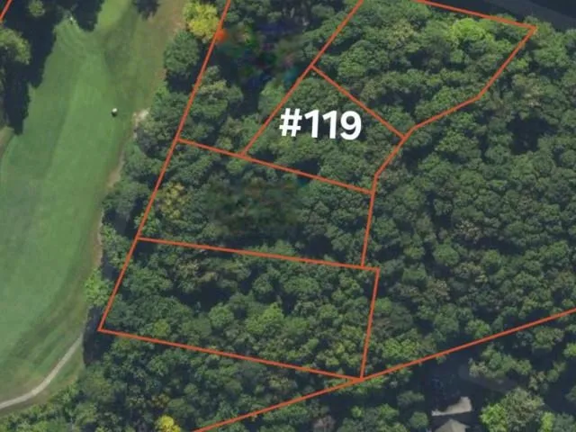 119 Legend Trail Custer Township, MI 49615