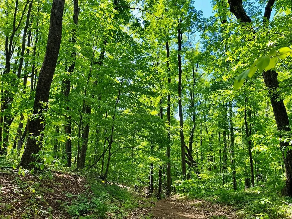119 Legend Trail Custer Township, MI 49615