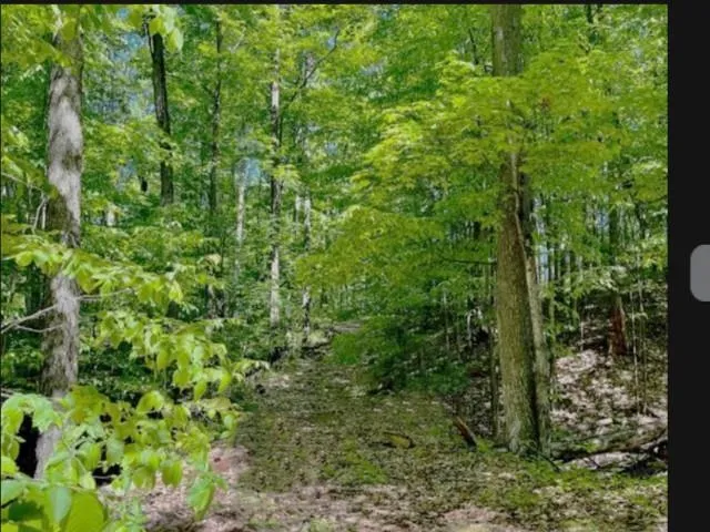 119 Legend Trail Custer Township, MI 49615