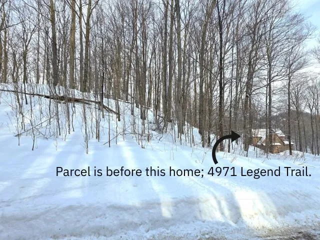 119 Legend Trail Custer Township, MI 49615