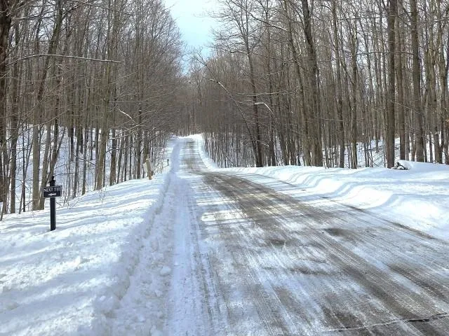 119 Legend Trail Custer Township, MI 49615