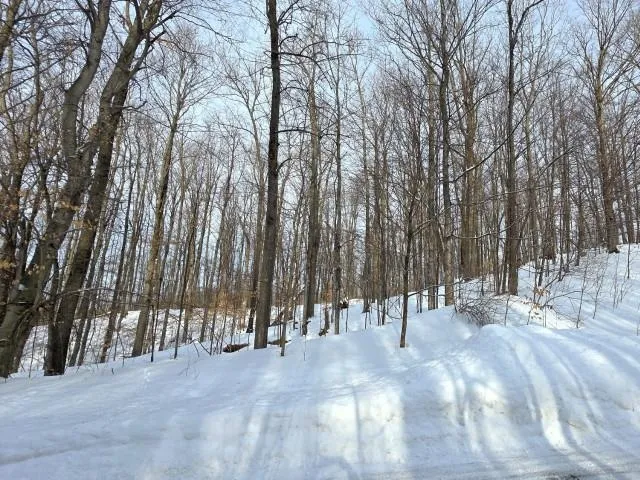 119 Legend Trail Custer Township, MI 49615